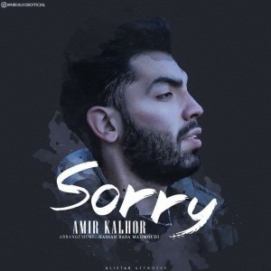 آهنگ Sorry از امیر کلهر