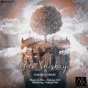 آهنگ گل شیشه ای از امیر توبه