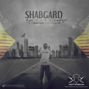 آهنگ جدید امیرم به نام شبگرد