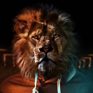 ویدیو پایدار از بهنام