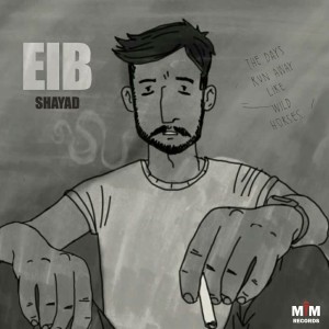 آهنگ شاید از عیب
