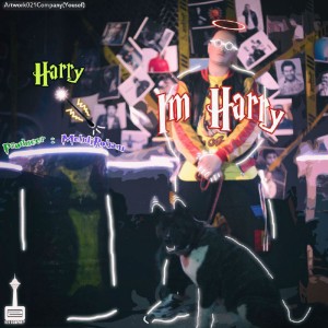 آهنگ Im Harry از Harry