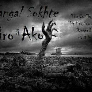 آهنگ جدید تیرو و آکو به نام جنگل سوخته