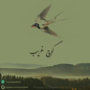 آلبوم کوتاه کوچ غریب از تشکل جریان