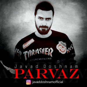 آهنگ پرواز از جواد دشنام