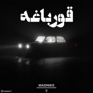 آهنگ قورباغه از مدنیکس