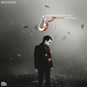 آهنگ حسی نیست از محمود ام کی و آریا