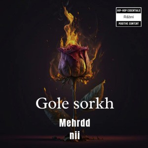 آهنگ گل سرخ از مهردادنیی