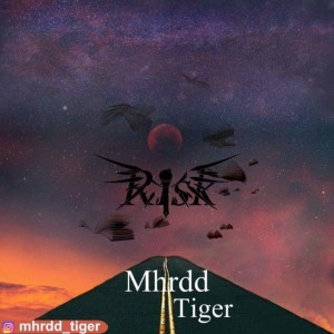 آهنگ ریسک از مهرداد تایگر