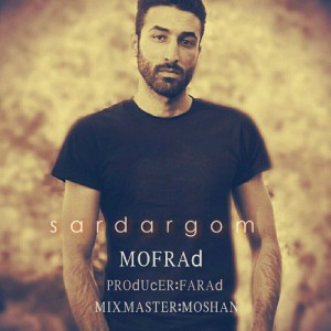 آهنگ سردرگم از مفرد