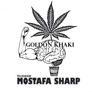 آهنگ گلدون خاکی از مصطفی شارپ