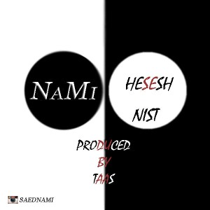 آهنگ حسش نیست از نامی