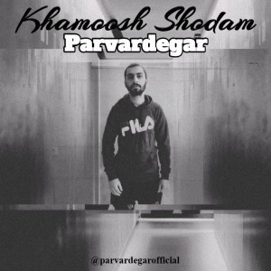 آهنگ خاموش شدم از Parvardegar