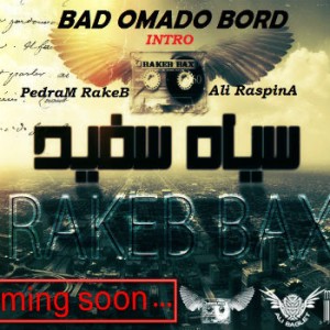 آهنگ جدید راکب و راسپینا بنام باد اومدو برد
