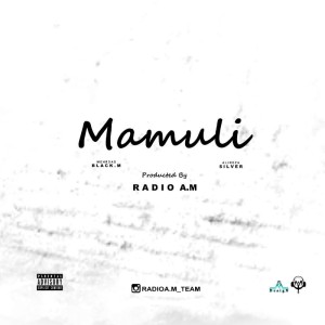 آهنگ معمولی از رادیو ای ام