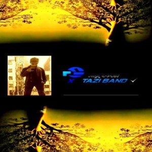 آهنگ جدید از سینا سی پلاس به نام هوسباز