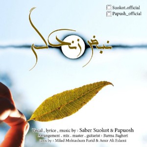 آهنگ نبض زندگی از صابر سکوت و پاپوش