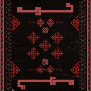 آهنگ گربه از شاهین