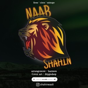 آهنگ ناب از شاهین