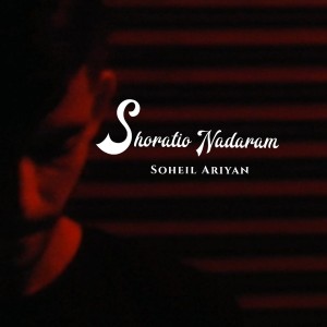 آهنگ شهرتی ندارم از سهیل عاریان