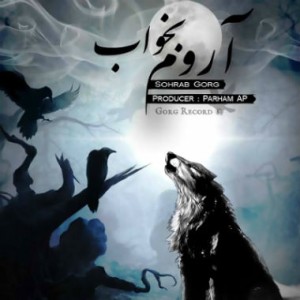 آهنگ جدید سهراب گرگ به نام آروم بخواب