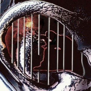 آهنگ جدید محمد تی دی به نام کو گوش شنوا