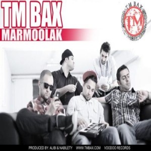 آهنگ جدید تی ام بکس به نام مارمولک