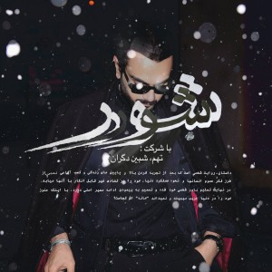 آهنگ شور از تهم
