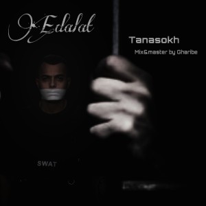 آهنگ عدالت از تَناسُخ