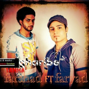 آهنگ جدید فریاد و فرشاد به نام تنها غریبه