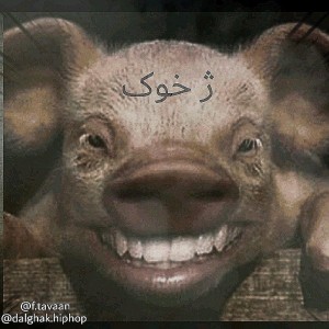 آهنگ ژ. خوک از تاوان و دلقک