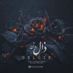 آهنگ دلگیر از ذال روشن