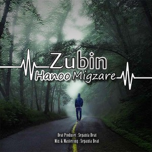 آهنگ هنو میگذره از زوبین