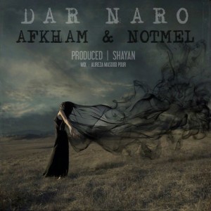 آهنگ در نرو از کوروش افخم و ناتمل