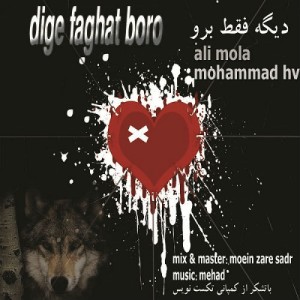 آهنگ دیگه فقط برو از علی مولا و محمد