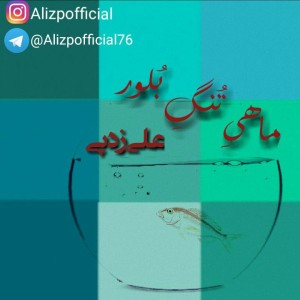 آهنگ ماهی تنگ بلور از علی زد پی