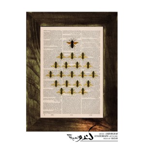 آهنگ کندو از امیر رقاب