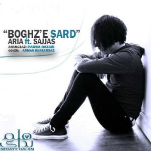 آهنگ جدید از آریا و سجاس بنام بغض سرد