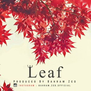 آهنگ برگ از بهرام زد