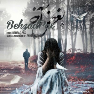 آهنگ جدید بهزاد پکس به نام بغض آخر