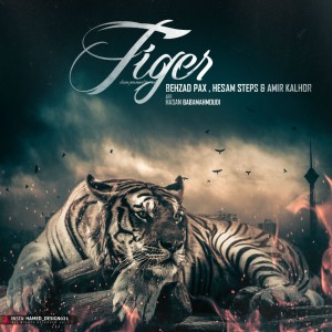 آهنگ ببر از بهزاد پکس، استپس و امیر کلهر