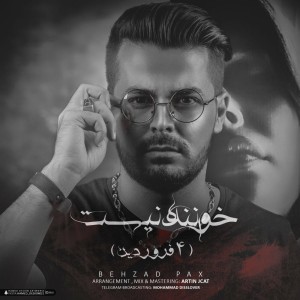 آهنگ خواننده نیست از بهزاد پکس