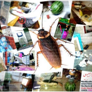 آهنگ جدید بلک رز و رهنورد – زندگی دانشجویی