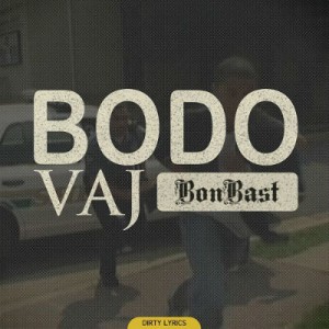 آهنگ جدید داریوش واج به نام بدو