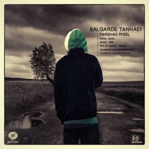 آهنگ جدید فرشاد پیکسل به نام سالگرد تنهایی