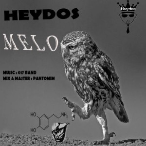 آهنگ جدید از هیدوس به نام ملو