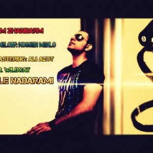 آهنگ جدید حسام ژاندارم به نام حوصله ندارم