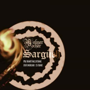 اینتروی آلبوم سرگیجه از مهیار دوچار