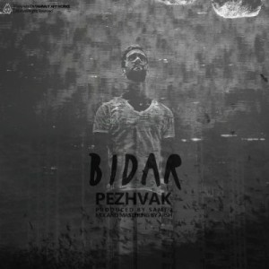 آهنگ جدید مهدی پژواک به نام بیدار