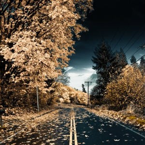 آهنگ جدید میلاد k و روزبه به نام جاده